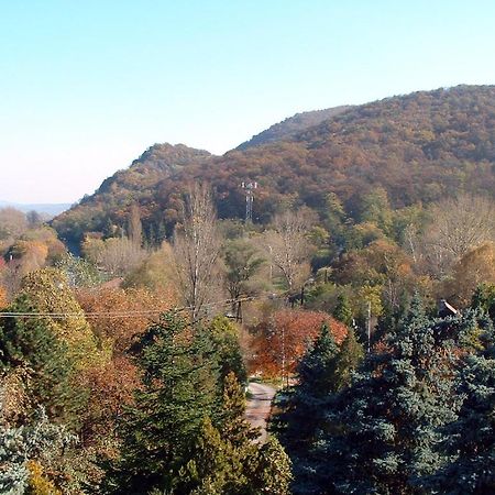 Vadregeny Panzio Bed & Breakfast Strigoniu Exterior foto