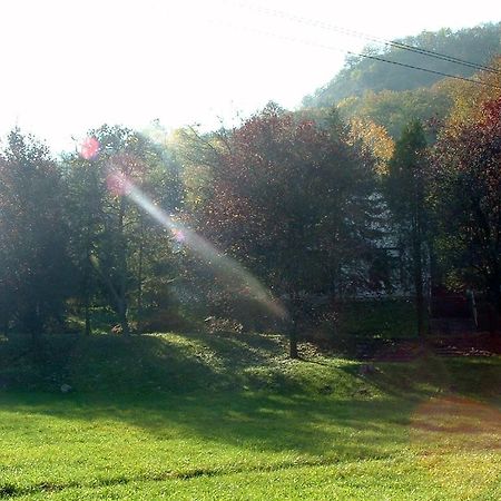 Vadregeny Panzio Bed & Breakfast Strigoniu Exterior foto