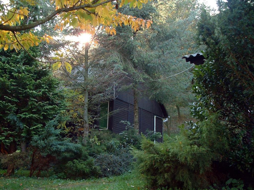 Vadregeny Panzio Bed & Breakfast Strigoniu Cameră foto