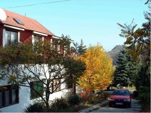 Vadregeny Panzio Bed & Breakfast Strigoniu Exterior foto