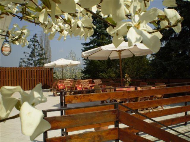 Vadregeny Panzio Bed & Breakfast Strigoniu Exterior foto