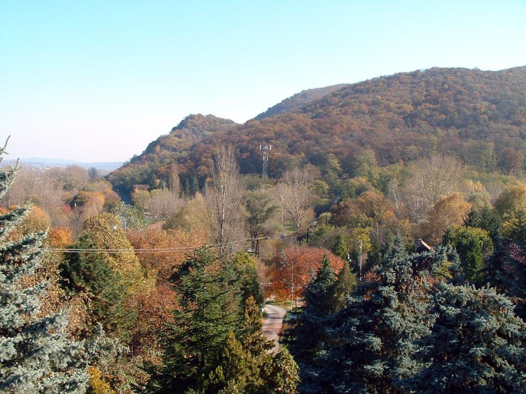 Vadregeny Panzio Bed & Breakfast Strigoniu Exterior foto